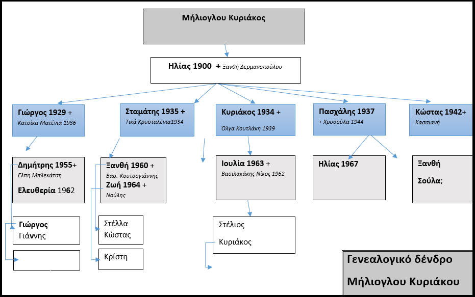 ΜΗΛΙΟΓΛΟΥ ΗΛ.