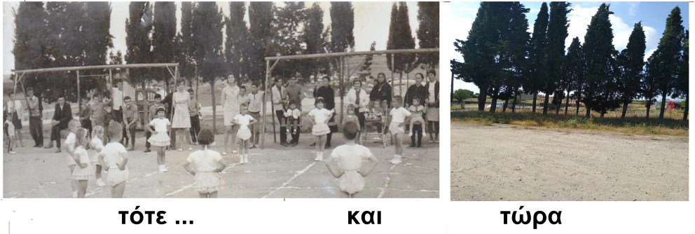 IMG_20200615_095436191